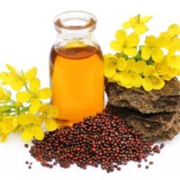 kachi-ghani-mustard-oil-bottle-cold-pressed Bottle of golden cold pressed mustard oil sarson ka tel HTH Organic