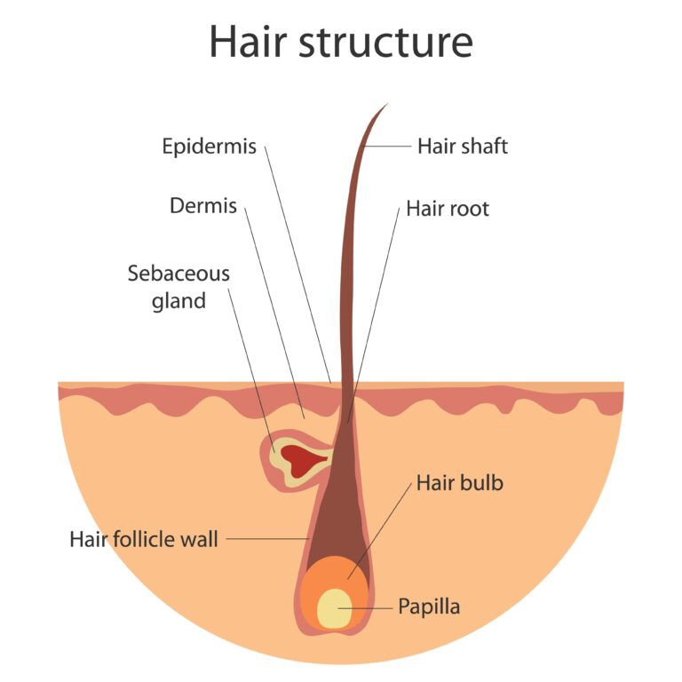 control hair loss with hth organic and pure mustard oil