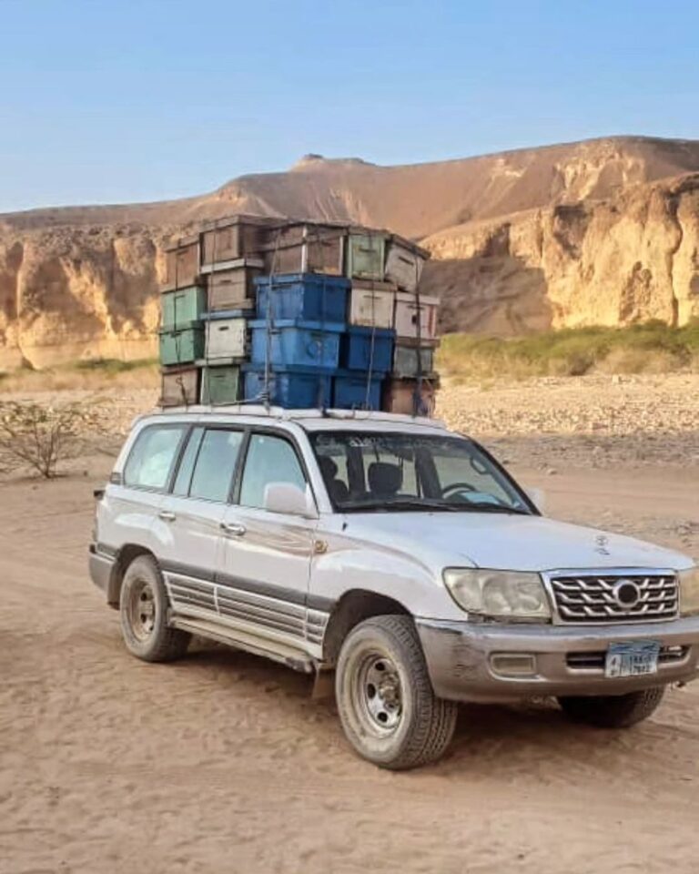 best honey sources in pakistan